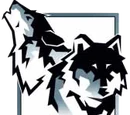 Two Wolf Press