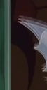 DarkBloom.png