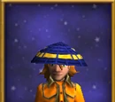 Veteran's Veil