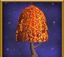 Maple Tree