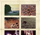 Woodstock (movie)