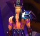 Conseil Illidari
