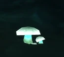 Ghost Mushroom