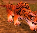 Durotar Tiger