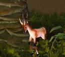 Longstrider Gazelle