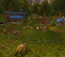 Eastvale Logging Camp
