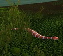 Marsh Serpent