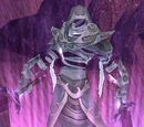 Image of Commander Ameer
