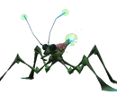 Water strider