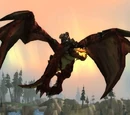 Dragonflayer Defender