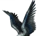 Dire condor