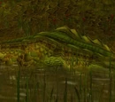 Sawtooth Snapper