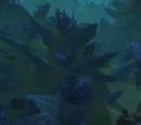 Vile Reef