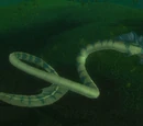 Stillwater Slitherer