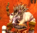 Razormane Quilboar