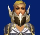 Steelspine Faceguard