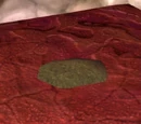 Fei Fei's Cache