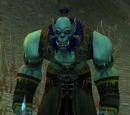 Burning Blade Acolyte