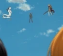 Resurrección techniques