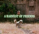Season 1 episodes