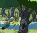 Stock Woods
