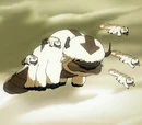 Flying bison