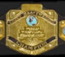 WEDF Television Championship