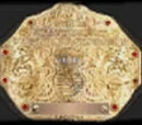 World Heavyweight Championship (WEDF)