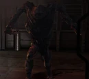 The Hunter