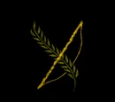 Codex entry: The Tale of Iloren