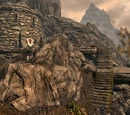 Autumnwatch Tower