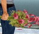 Regalos