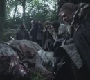 Direwolves