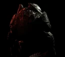 RAAM's Shadow