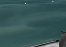 CoastGuard-GTAVC-front.jpg