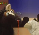 Wolle and Pferd Sketches: Wetten! Was?
