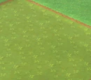 Reward Island