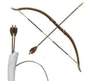 Susan's bow and arrows