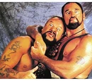The Bushwhackers