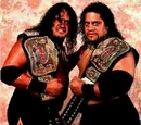 The Headshrinkers