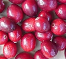 Thanksgiving Cranberries