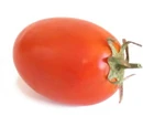 Plum tomato