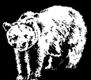 Grizzly Furs