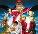 Street Fighter II V
