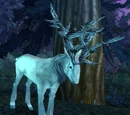 Moongraze Buck