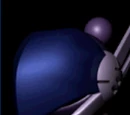 Regulus