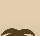 Oasis Background