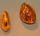 Amber