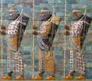 Persian Immortal