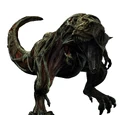 Australis